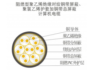計(jì)算機(jī)電纜 (1)